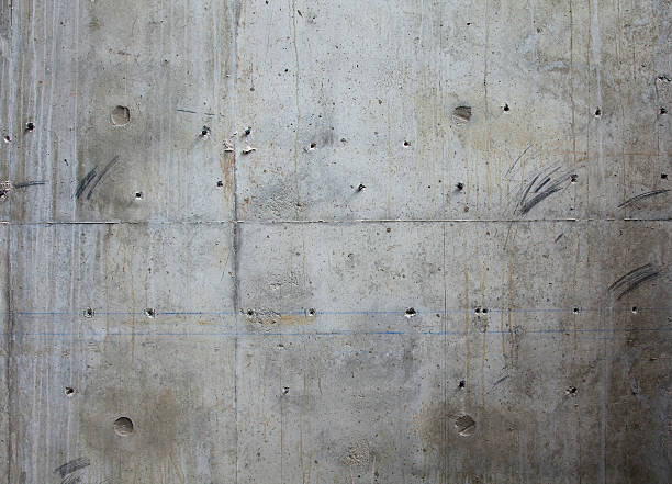 Best Custom Concrete Contractor  in Barneveld, WI